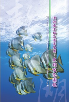 這是一張圖片