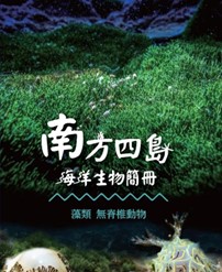 這是一張圖片