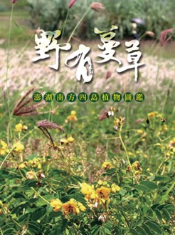 這是一張圖片