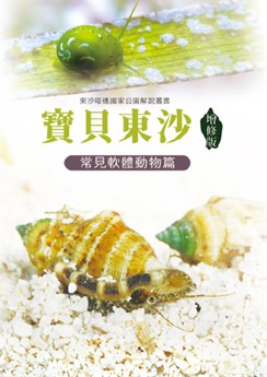 這是一張圖片