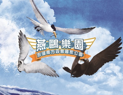 Tern Paradise